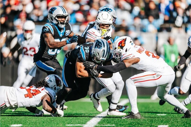 Carolina Panthers vs Arizona Cardinals Match Player Stats