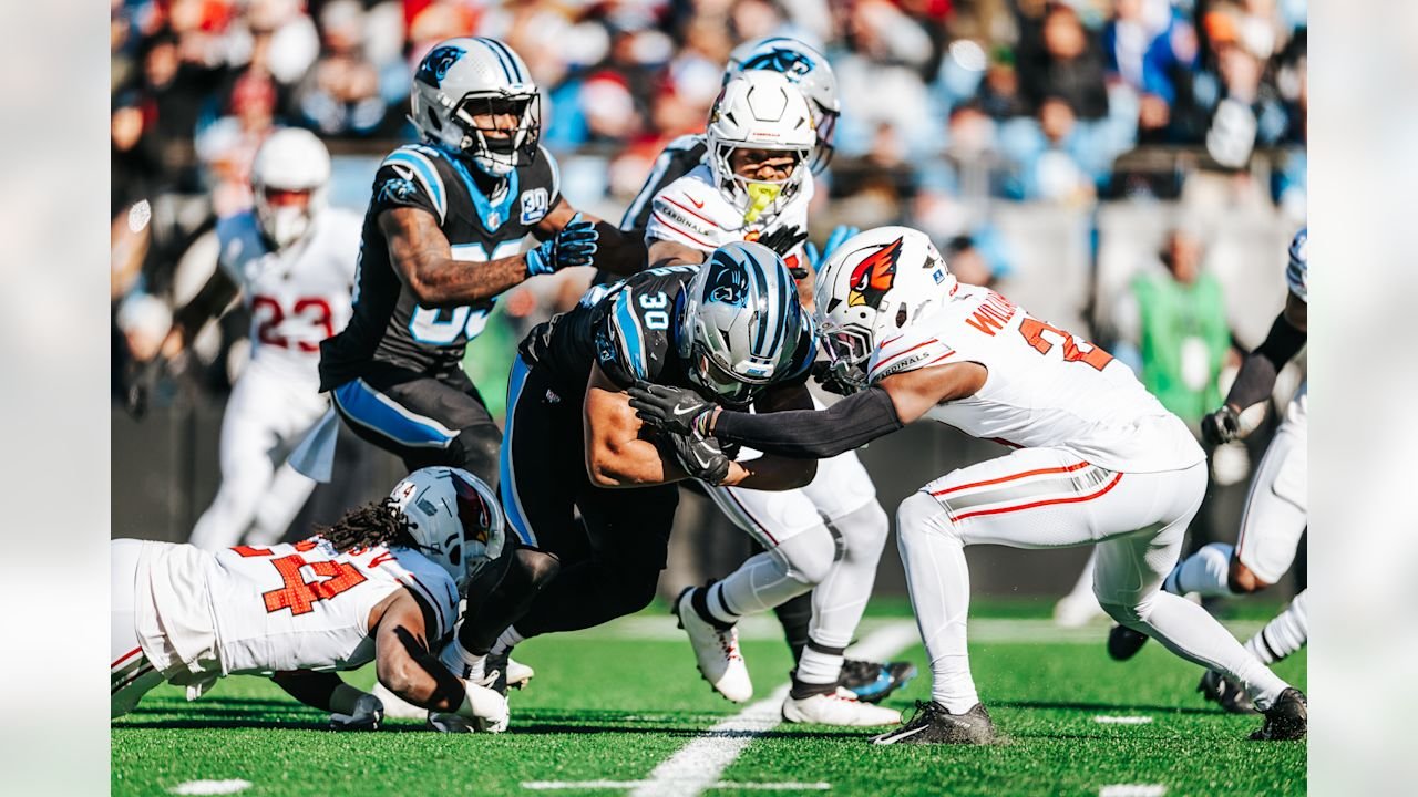 Carolina Panthers vs Arizona Cardinals Match Player Stats